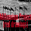 millennium project