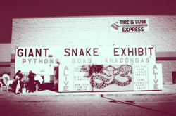 travelling snake exhibit